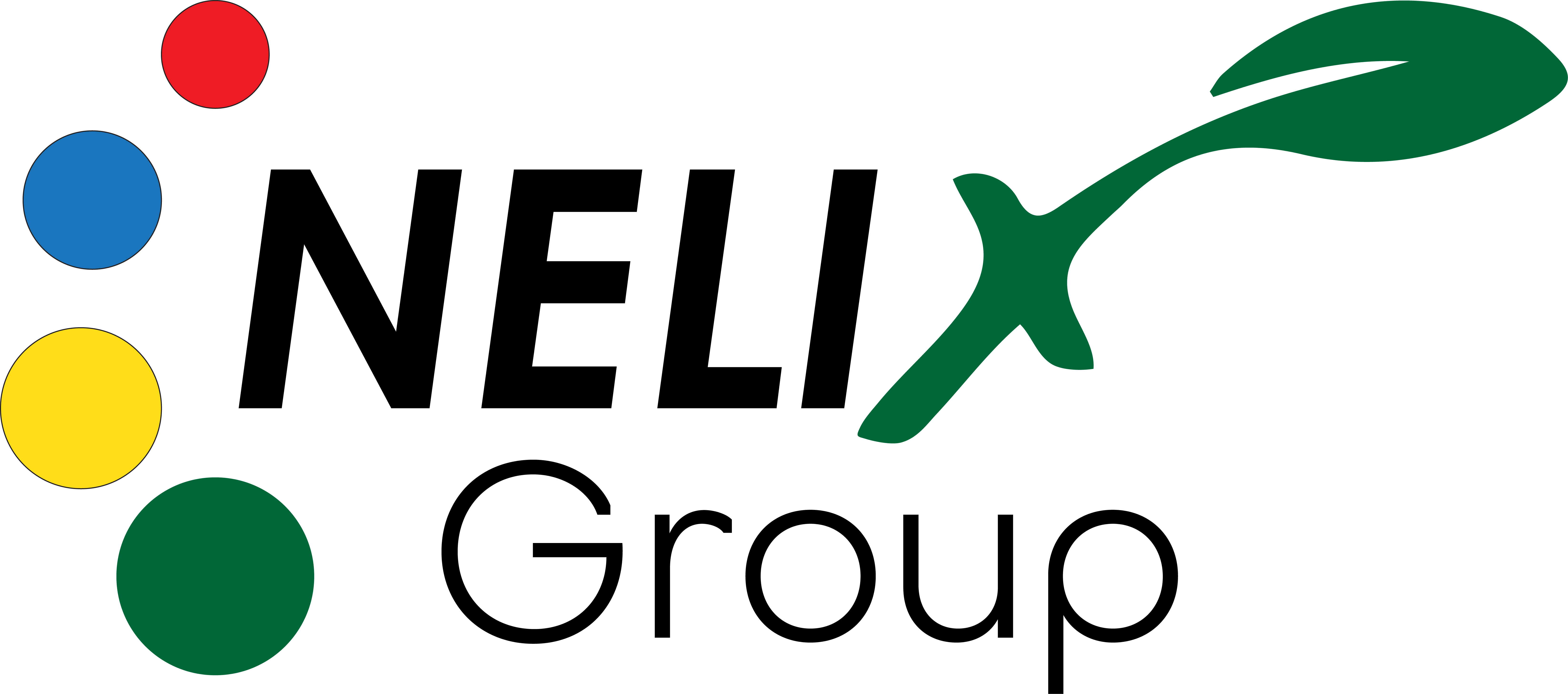 Nelix Group Logo